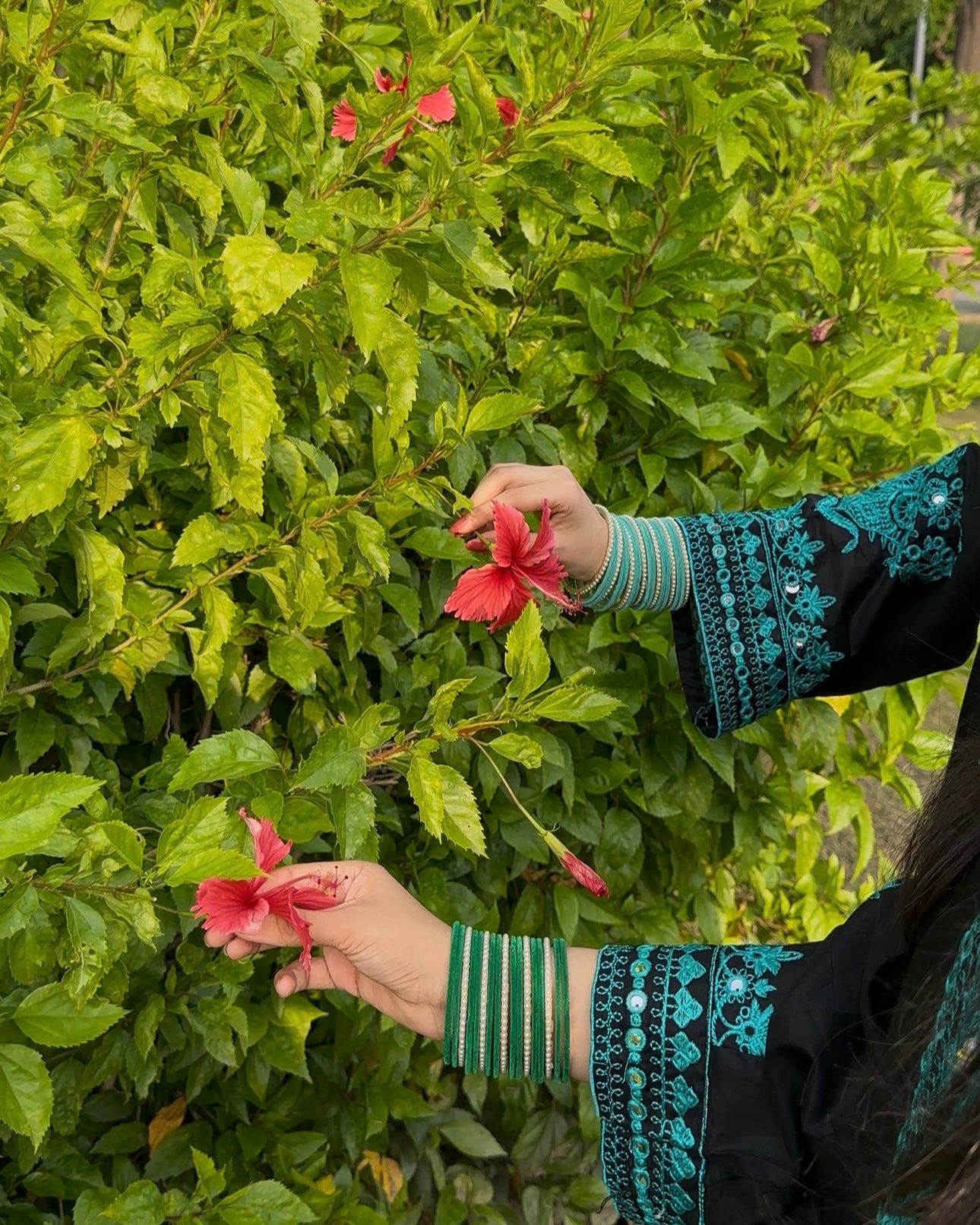 Nazni embroidered 2 pc